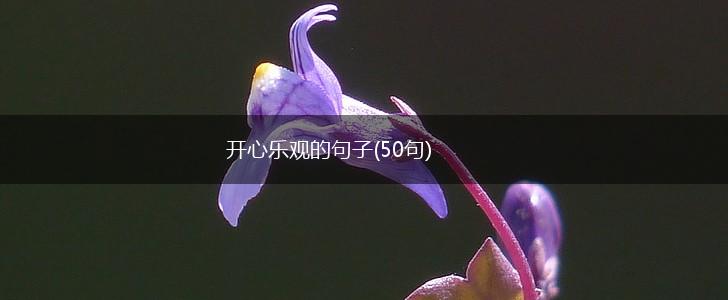 开心乐观的句子(50句),第1张