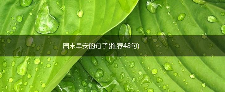 周末早安的句子(推荐48句),第1张