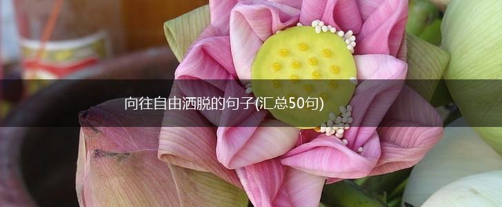 向往自由洒脱的句子(汇总50句),第1张