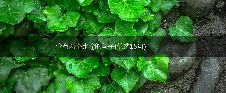 含有两个比喻的句子(优选15句),第1张
