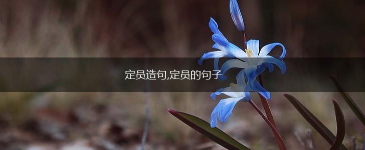 定员造句,定员的句子,第1张
