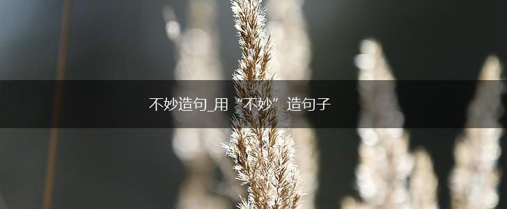 不妙造句_用“不妙”造句子,第1张