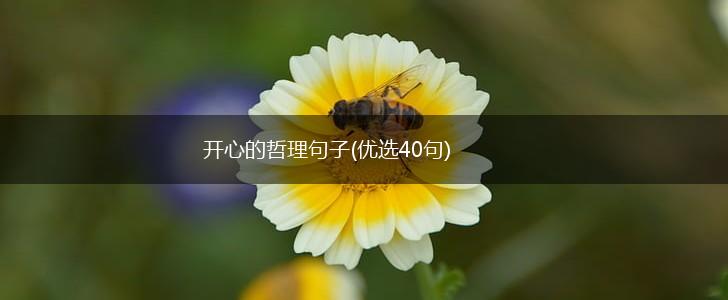 开心的哲理句子(优选40句),第1张