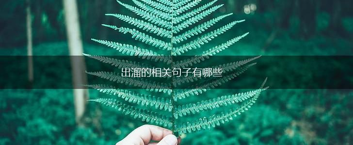 出溜的相关句子有哪些,第1张