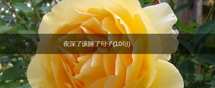 夜深了该睡了句子(10句),第1张