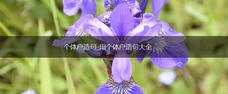 个体户造句_用个体户造句大全,第1张 个体户造句_用个体户造句大全,第1张