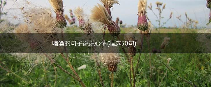 喝酒的句子说说心情(精选50句),第1张
