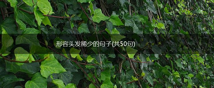 形容头发稀少的句子(共50句),第1张