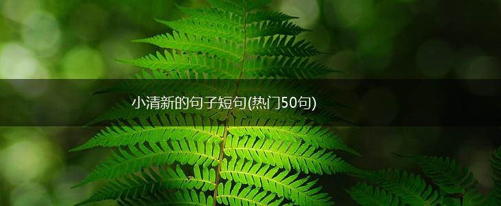 小清新的句子短句(热门50句),第1张