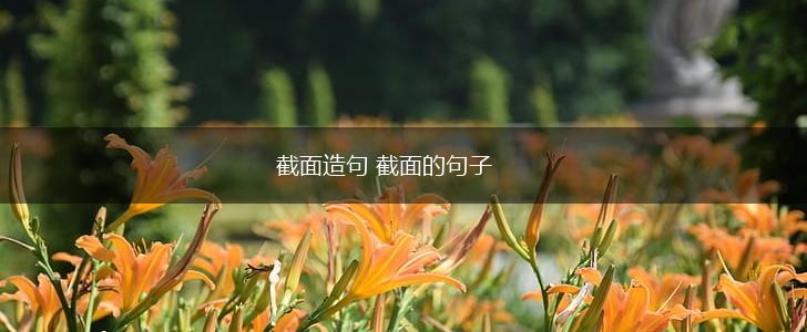 截面造句 截面的句子,第1张 截面造句 截面的句子,第1张
