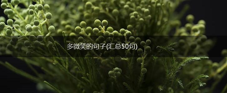 多微笑的句子(汇总50句),第1张