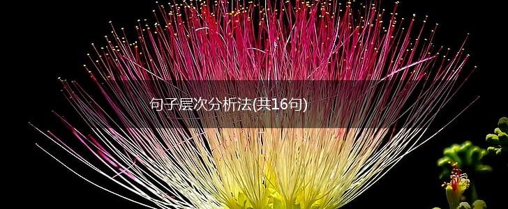 句子层次分析法(共16句),第1张