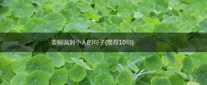 委婉讽刺小人的句子(推荐10句),第1张