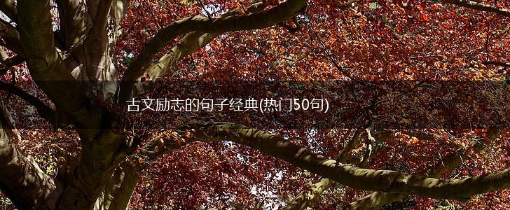 古文励志的句子经典(热门50句),第1张