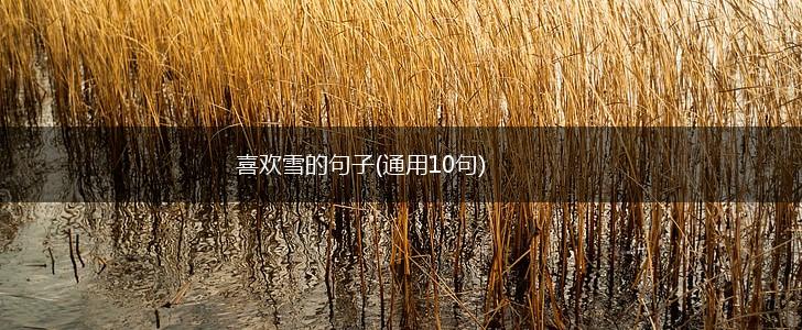 喜欢雪的句子(通用10句),第1张