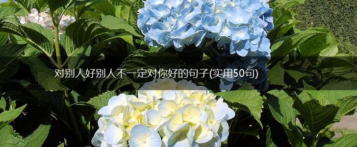 对别人好别人不一定对你好的句子(实用50句),第1张