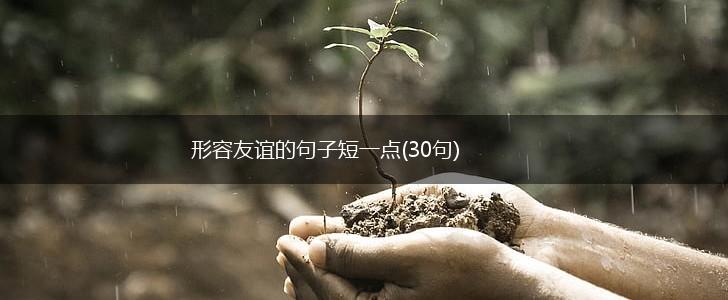 形容友谊的句子短一点(30句),第1张
