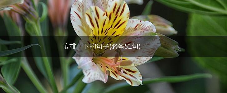 安排一下的句子(必备51句),第1张