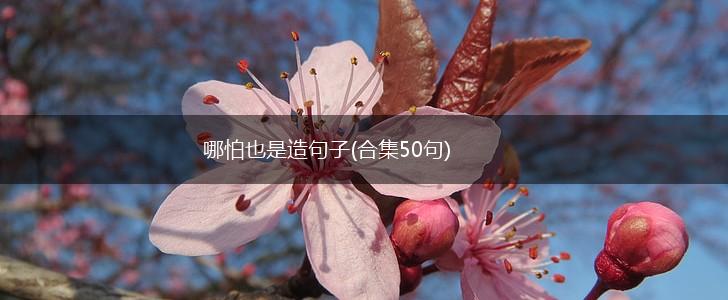 哪怕也是造句子(合集50句),第1张