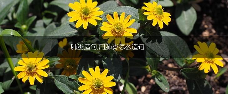 肺炎造句,用肺炎怎么造句,第1张 肺炎造句,用肺炎怎么造句,第1张