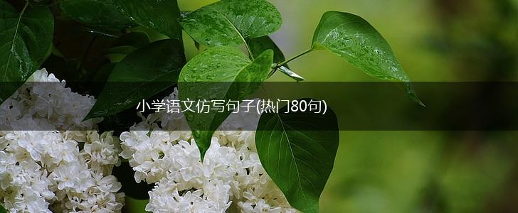 小学语文仿写句子(热门80句),第1张