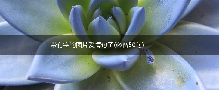 带有字的图片爱情句子(必备50句),第1张