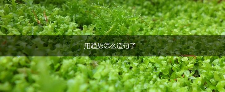 用趋势怎么造句子,第1张