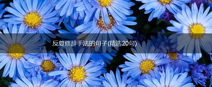 反复修辞手法的句子(精选20句),第1张