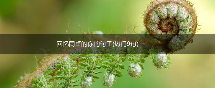 回忆同桌的你的句子(热门9句),第1张