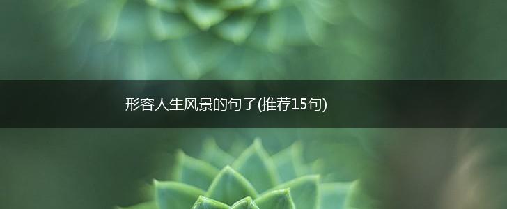 形容人生风景的句子(推荐15句),第1张