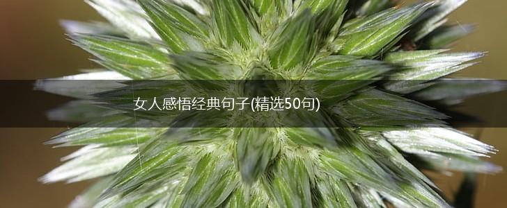 女人感悟经典句子(精选50句),第1张