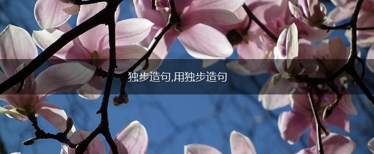 独步造句,用独步造句,第1张