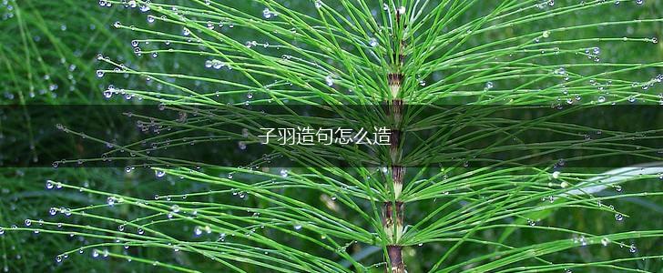 子羽造句怎么造,第1张