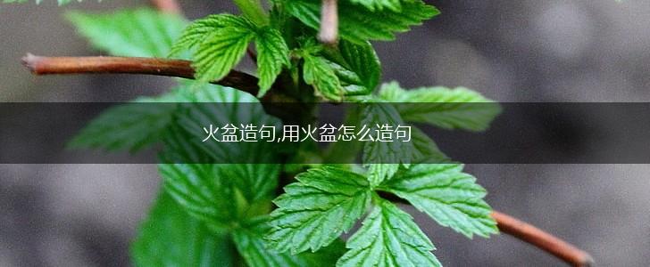 火盆造句,用火盆怎么造句,第1张 火盆造句,用火盆怎么造句,第1张