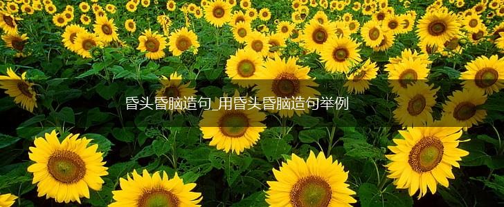 昏头昏脑造句_用昏头昏脑造句举例,第1张 昏头昏脑造句_用昏头昏脑造句举例,第1张