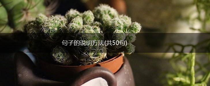 句子的说明方法(共50句),第1张