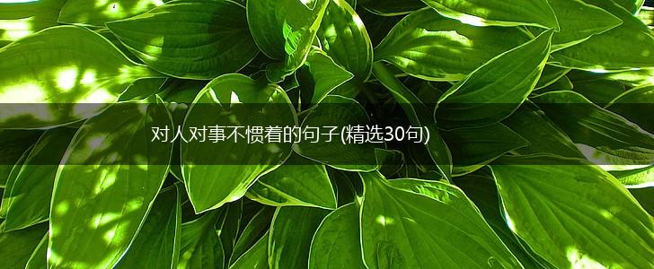 对人对事不惯着的句子(精选30句),第1张