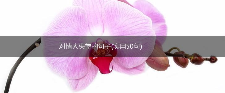 对情人失望的句子(实用50句),第1张