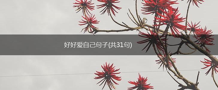 好好爱自己句子(共31句),第1张