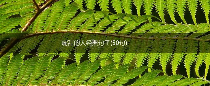 嘴甜的人经典句子(50句),第1张