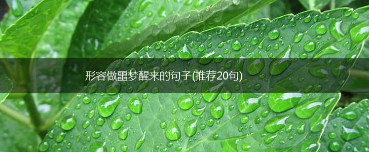 形容做噩梦醒来的句子(推荐20句),第1张