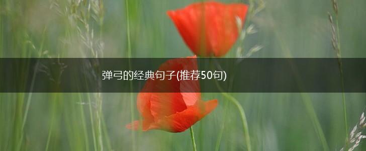弹弓的经典句子(推荐50句),第1张