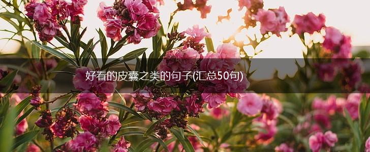 好看的皮囊之类的句子(汇总50句),第1张
