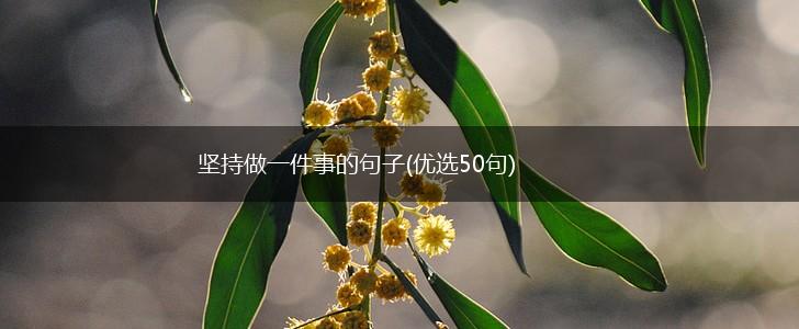 坚持做一件事的句子(优选50句),第1张