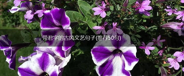 带君字的古风文艺句子(推荐50句),第1张