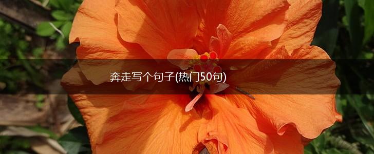 奔走写个句子(热门50句),第1张