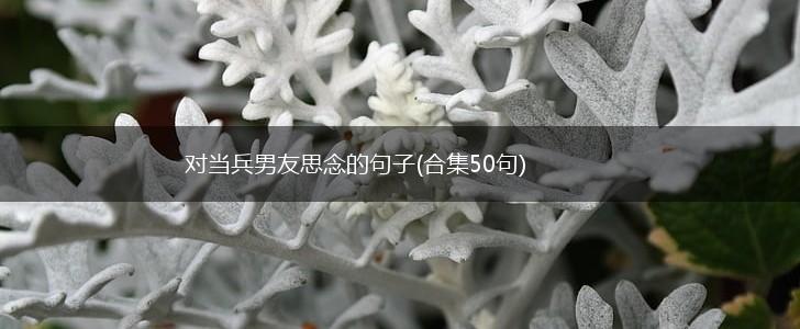 对当兵男友思念的句子(合集50句),第1张
