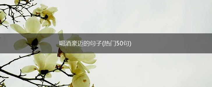 喝酒豪迈的句子(热门50句),第1张