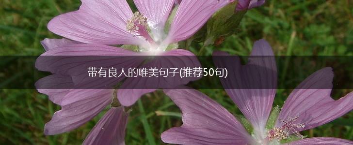 带有良人的唯美句子(推荐50句),第1张