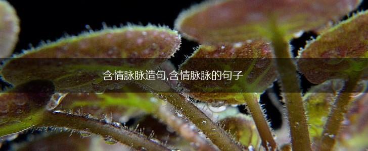 含情脉脉造句,含情脉脉的句子,第1张